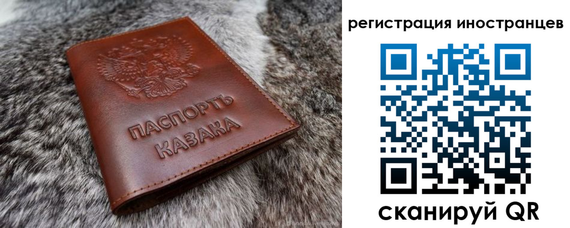 пропишу в квартире в Боровичах